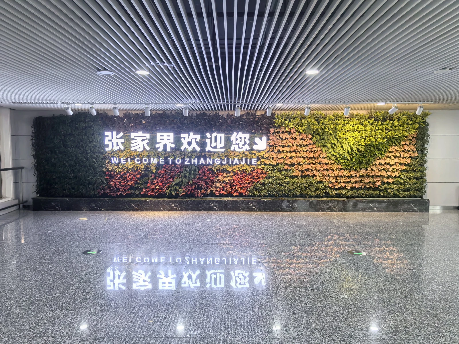 张家界